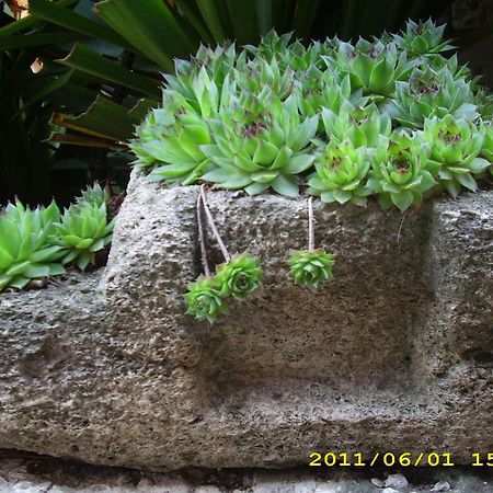 Guest House Villa Katty Μπαλτσίκ Εξωτερικό φωτογραφία