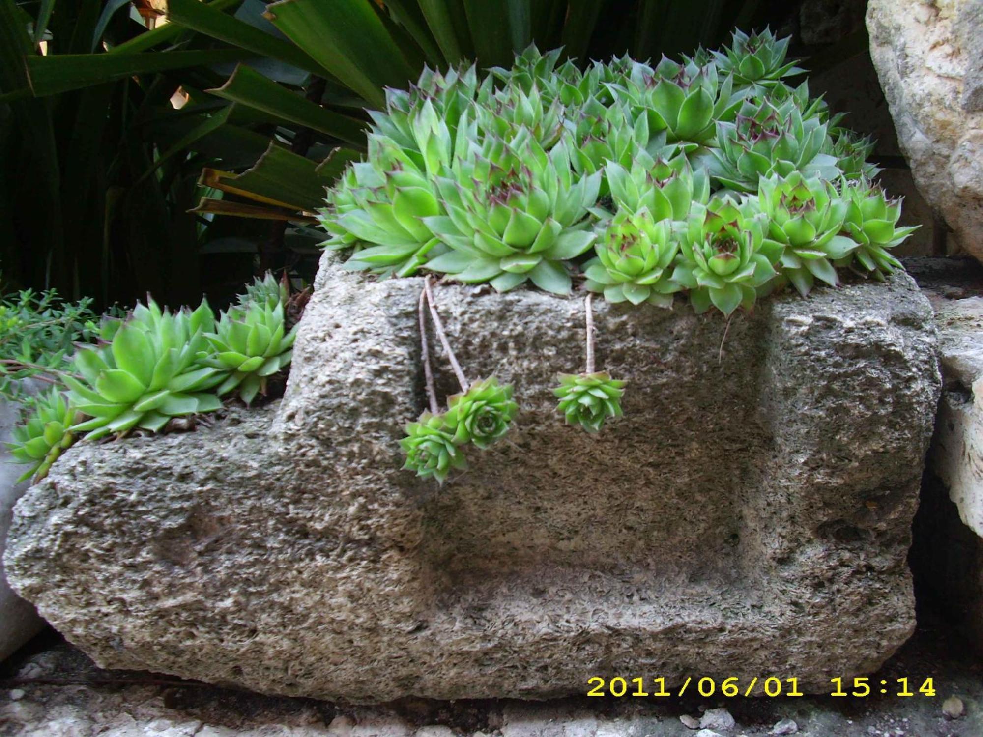Guest House Villa Katty Μπαλτσίκ Εξωτερικό φωτογραφία