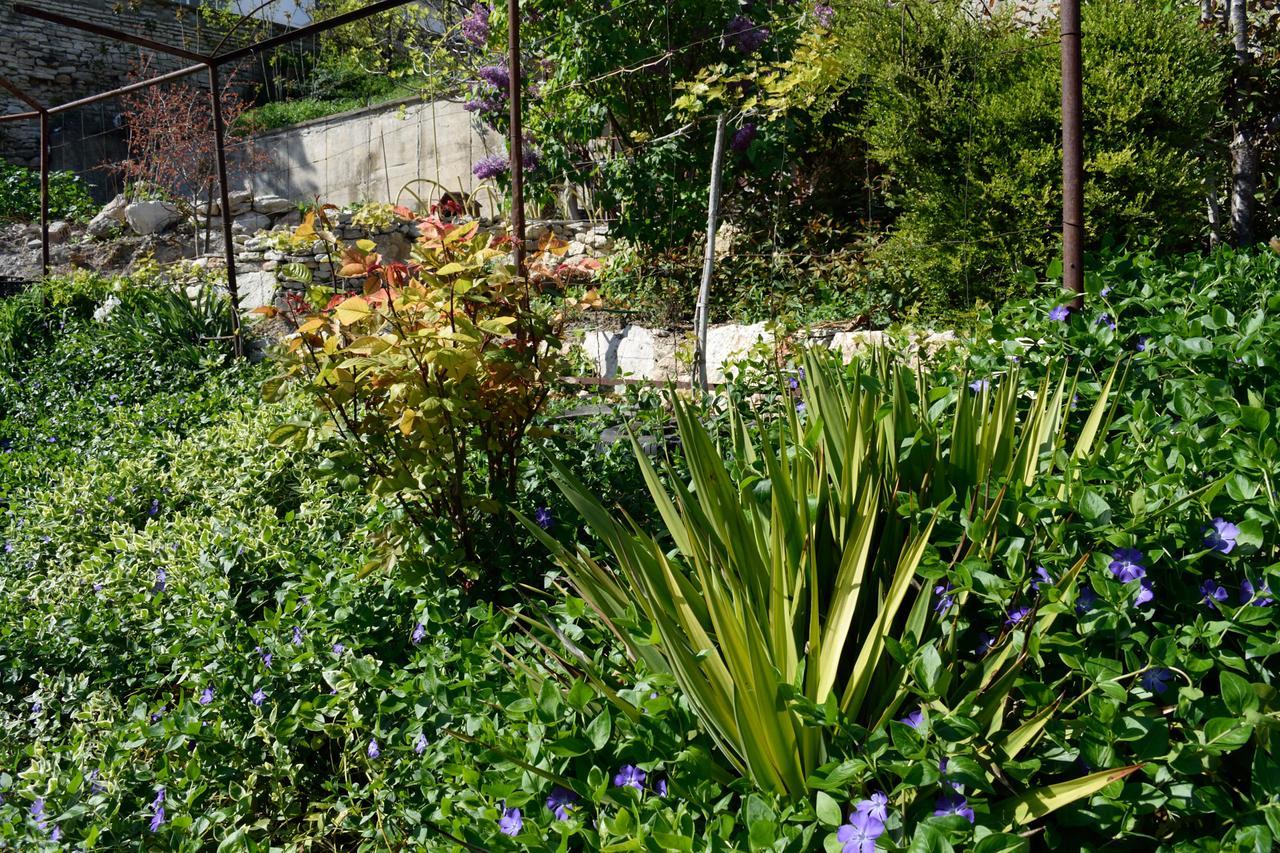 Guest House Villa Katty Μπαλτσίκ Εξωτερικό φωτογραφία